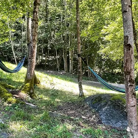 Bed & Breakfast D'hotes Les D'elsa *